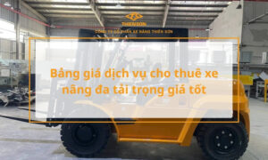 thuê xe nâng