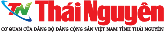 Thiên Sơn Holdings